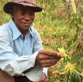 Snímek obrazovky 2025-11-02 165230